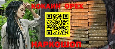прущие крисы Будённовск