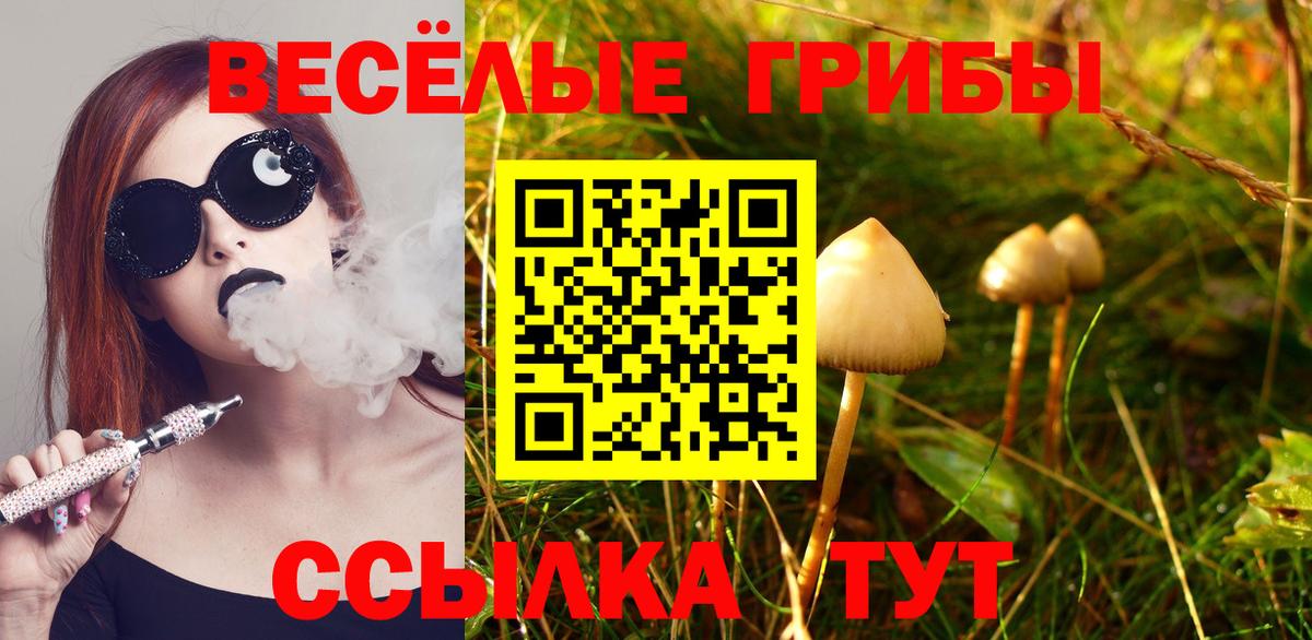 Невинномысск  Псилоцибиновые грибы мухоморы  Вход с VPN 